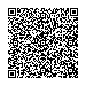 QR datos 